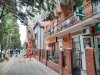 Платан восточный кудрявый был украшением улицы Кирова в Адлере